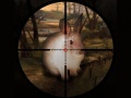 Гульня Classical Rabbit Sniper Hunting 2019