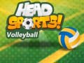 Гульня Head Sports Volleyball