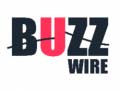Гульня Buzz Wire