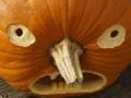 Гульня 5 in 1 Picture Puzzle: Halloween