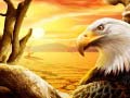 Гульня Eagle