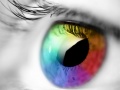 Гульня Colours And Designs
