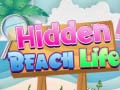 Гульня Hidden Beach Life