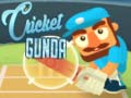 Гульня Cricket Gunda