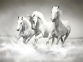 Гульня Horses Puzzle