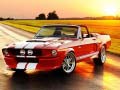 Гульня Fancy Mustang Differences