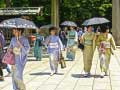 Гульня 100 Butterflies in Japan