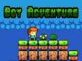 Гульня Boy Adventure