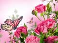 Гульня Butterflies Puzzle