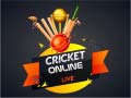 Гульня Cricket Online