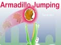 Гульня Armadillo Jumping