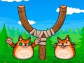 Гульня Shot The Angry Cat