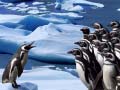 Гульня Penguins Slide