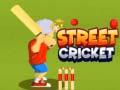 Гульня Street Cricket