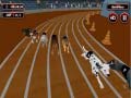 Гульня Crazyl Dog Racing Fever