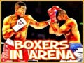 Гульня Boxers in Arena