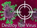 Гульня Destroy The Virus