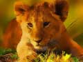 Гульня Wild Baby Animals Jigsaw