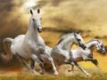 Гульня Running Horse Slide