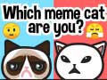 Гульня Which Meme Cat Are You?