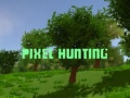 Гульня Pixel Hunting