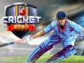 Гульня Cricket 2020
