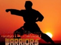 Гульня Karate Sunset Warriors