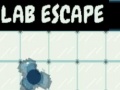 Гульня Lab Escape