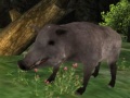 Гульня Wild boar Hunting