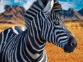 Гульня Zebra Hunter