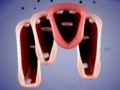 Гульня Crazy Lips
