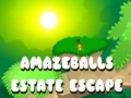 Гульня Amazeballs Estate Escape