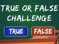 Гульня  True Or False Challenge