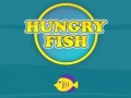 Гульня Hungry Fish