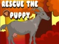 Гульня Rescue The Puppy