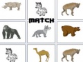 Гульня Match