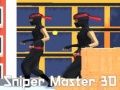Гульня Sniper Master 3D