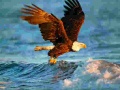 Гульня Animals Jigsaw Puzzle Eagle