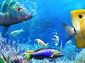Гульня Let's Fish