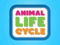Гульня Animal Life Cycle