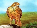 Гульня Birds of Prey Slide