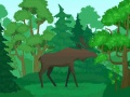 Гульня Wild Animals Coloring