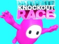 Гульня Ultimate Knockout Race