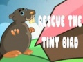 Гульня Rescue The Tiny Bird