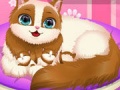 Гульня Cute Kitty Pregnant