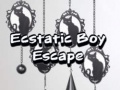 Гульня Ecstatic Boy Escape