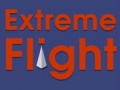Гульня Extreme Flight