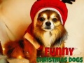Гульня Funny Christmas Dogs