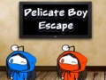 Гульня Delicate Boy Escape