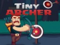 Гульня Tiny Archer
